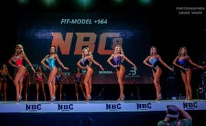 FIT-MODEL +164 (1 раунд)